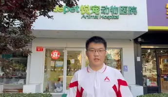 Feral Cats Protection