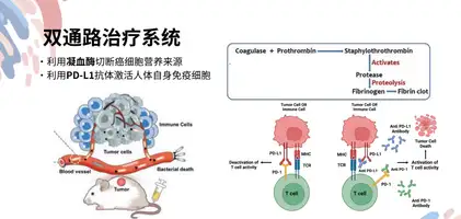 iGEM - Tackle Colorectal Cancer with Red-light Induced Bacteria