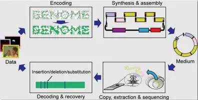 DNA Data Storage