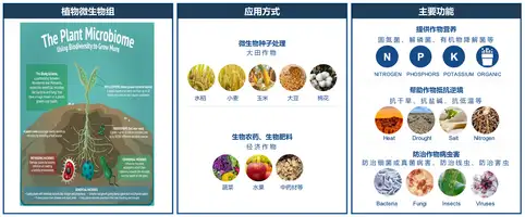 Microbes & Biotechnology